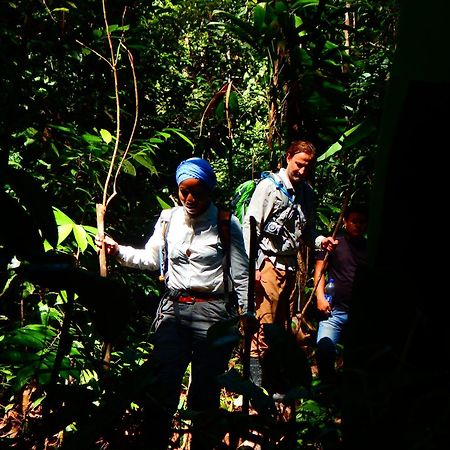Amazon Acai Lodge Leticia Eksteriør bilde