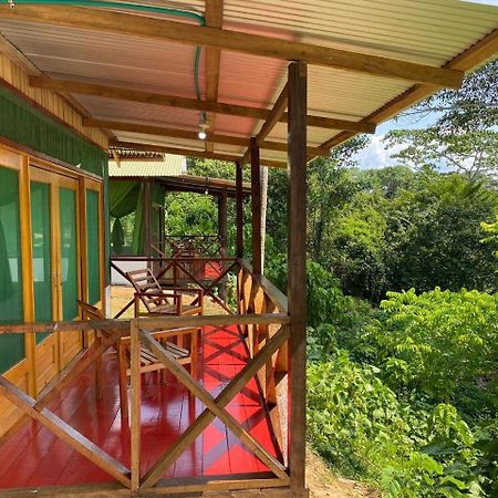 Amazon Acai Lodge Leticia Eksteriør bilde
