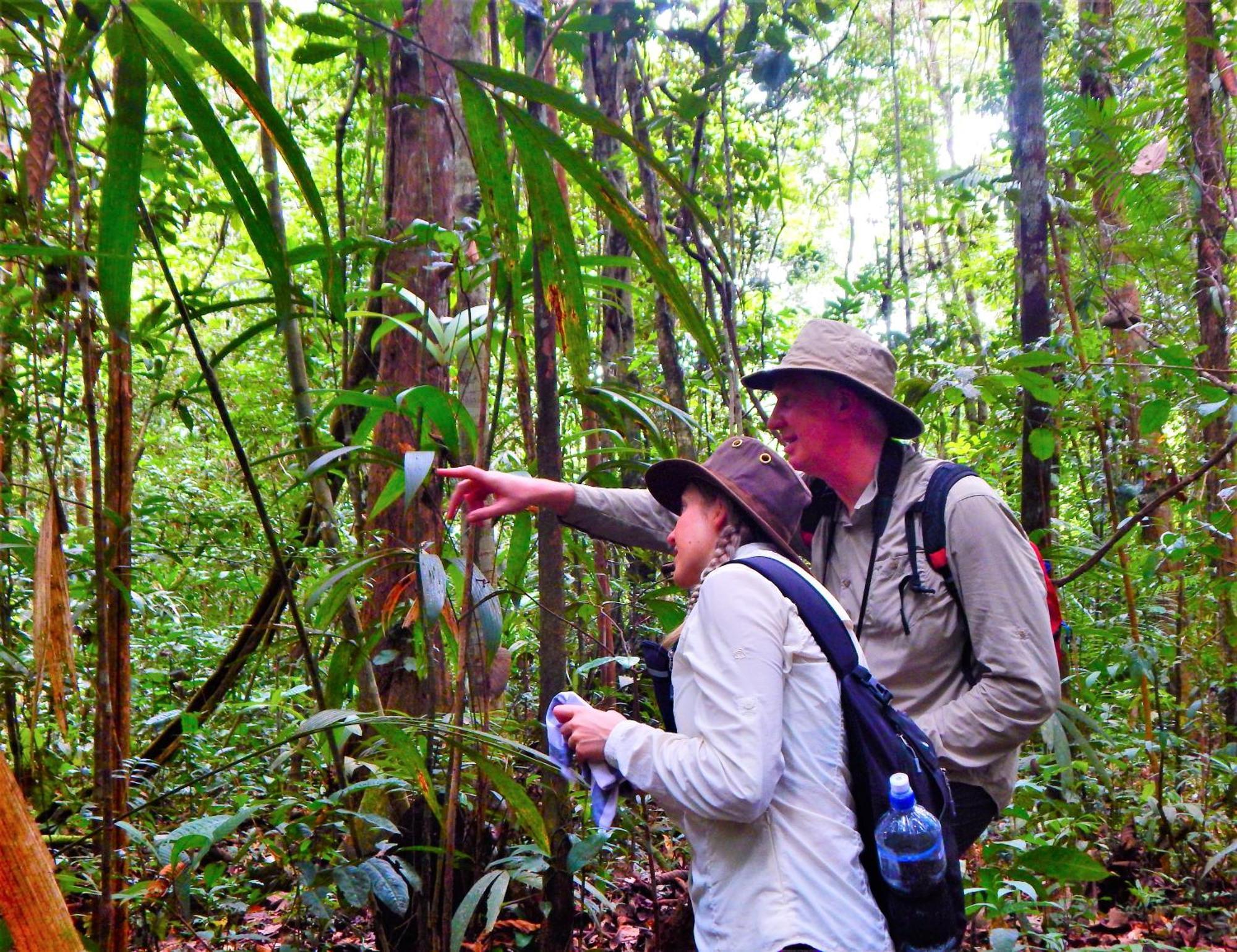 Amazon Acai Lodge Leticia Eksteriør bilde