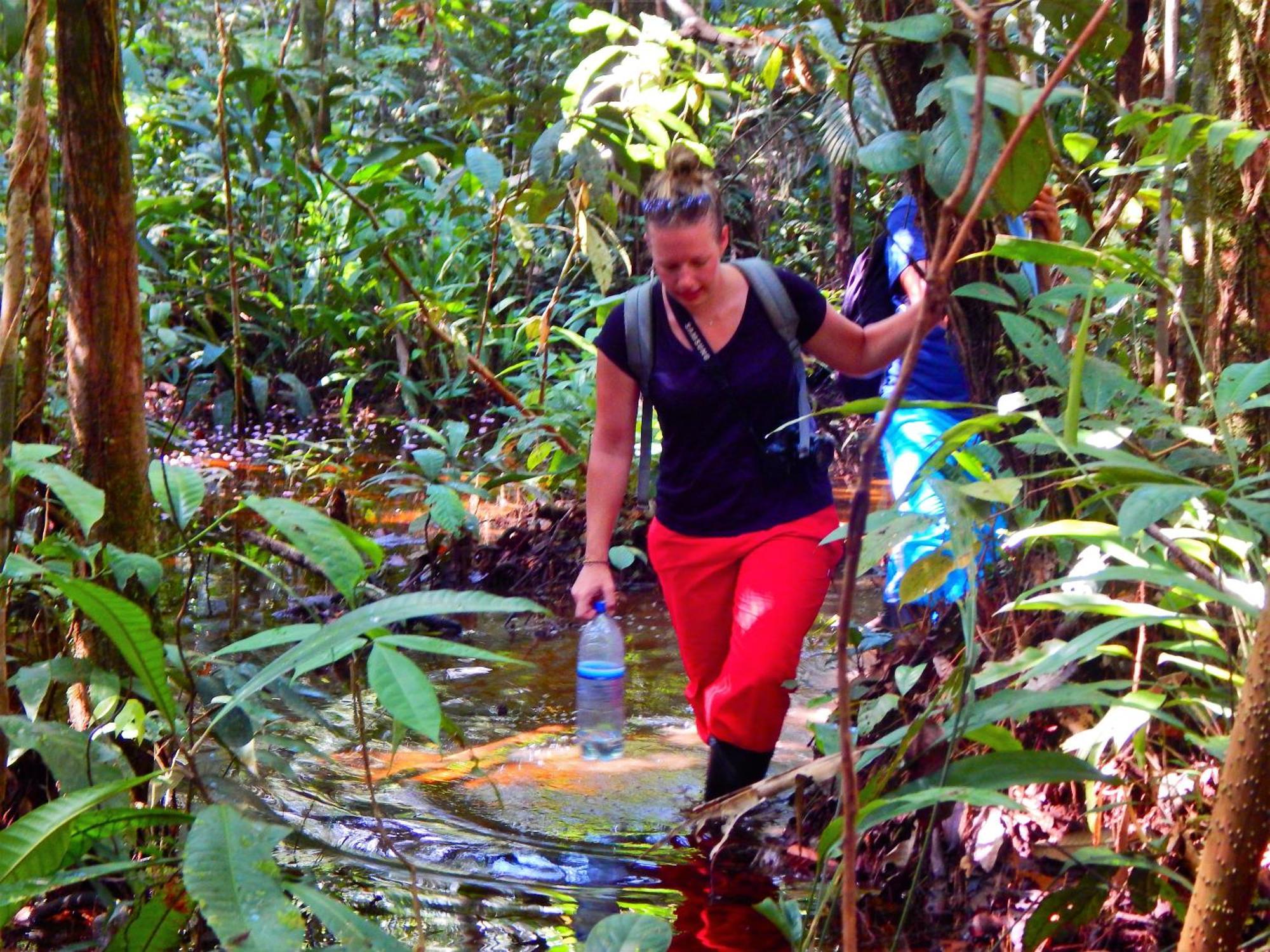 Amazon Acai Lodge Leticia Eksteriør bilde