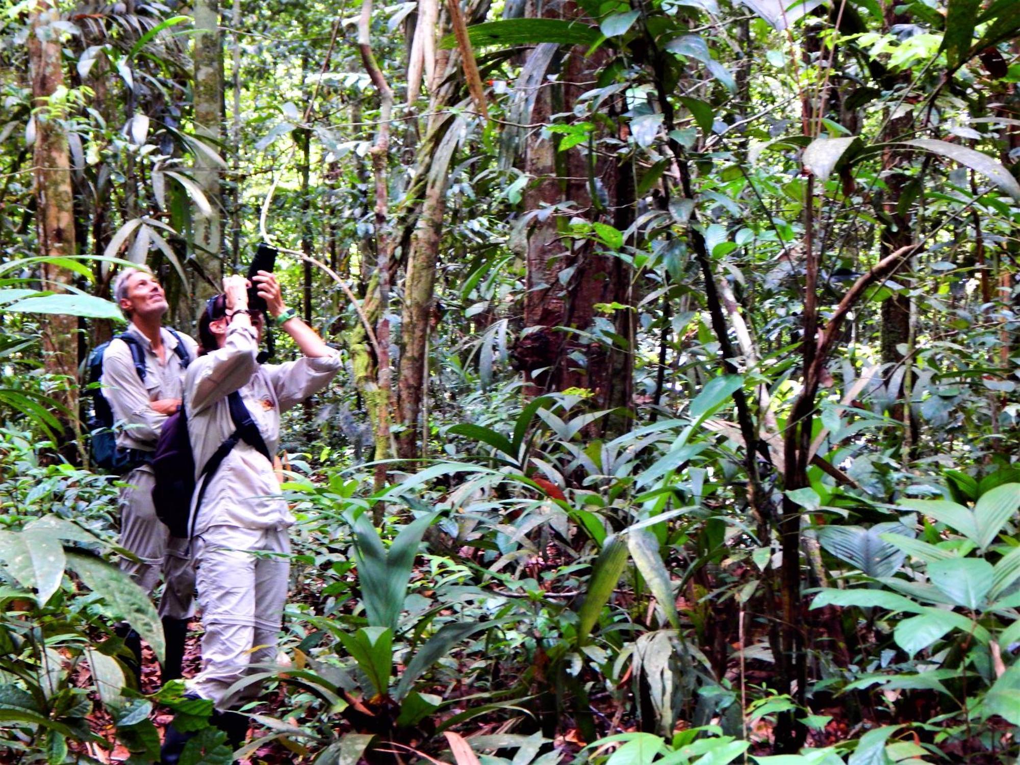 Amazon Acai Lodge Leticia Eksteriør bilde