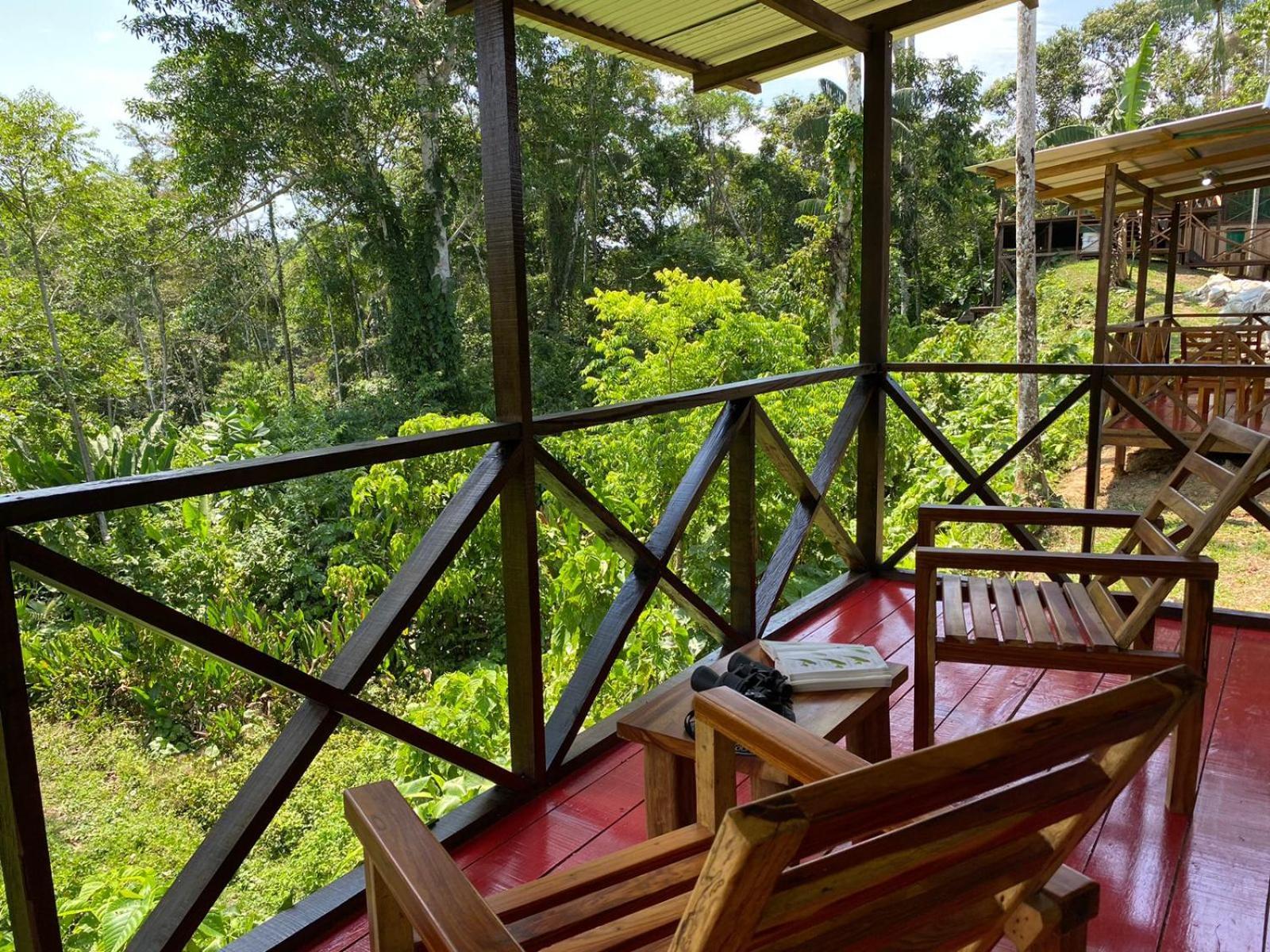Amazon Acai Lodge Leticia Eksteriør bilde
