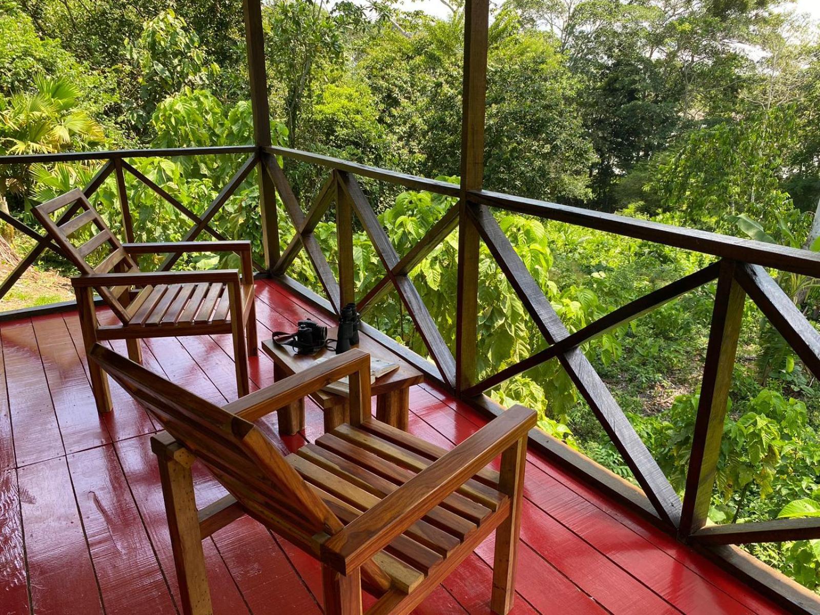 Amazon Acai Lodge Leticia Eksteriør bilde