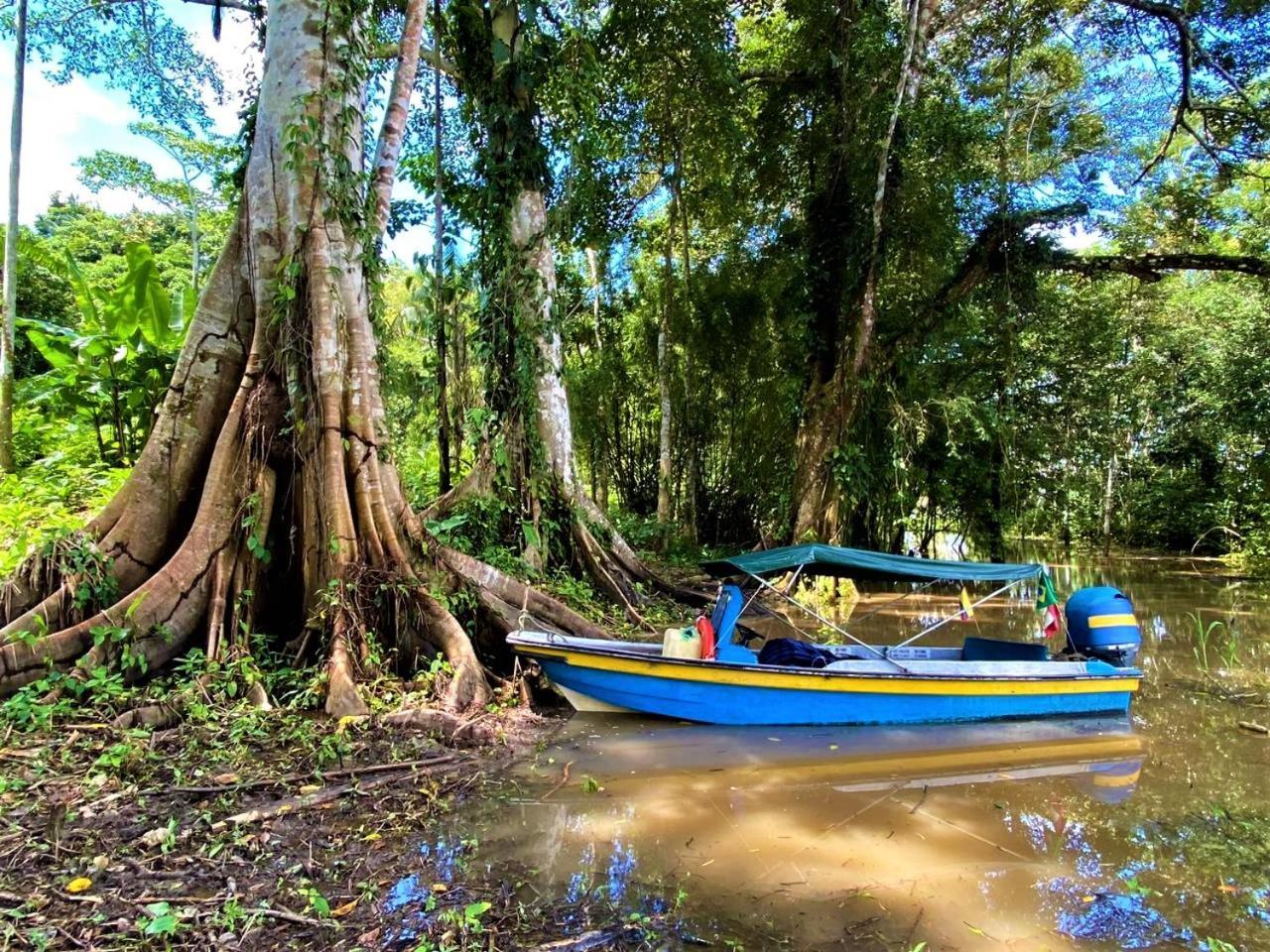 Amazon Acai Lodge Leticia Eksteriør bilde