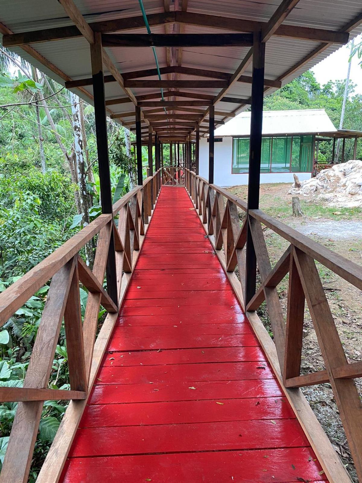 Amazon Acai Lodge Leticia Eksteriør bilde