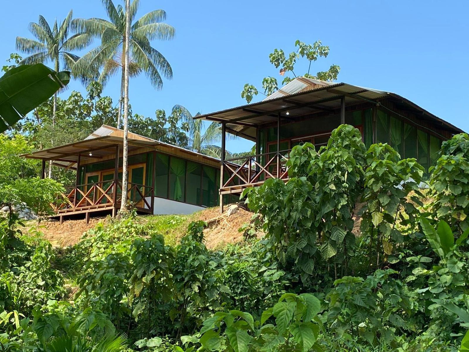 Amazon Acai Lodge Leticia Eksteriør bilde