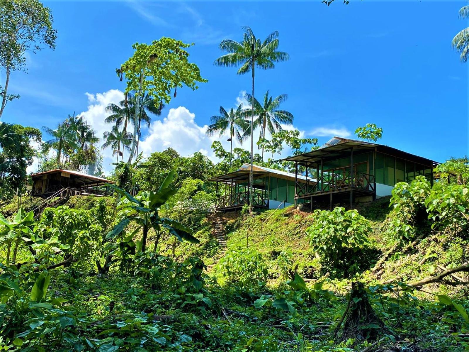Amazon Acai Lodge Leticia Eksteriør bilde