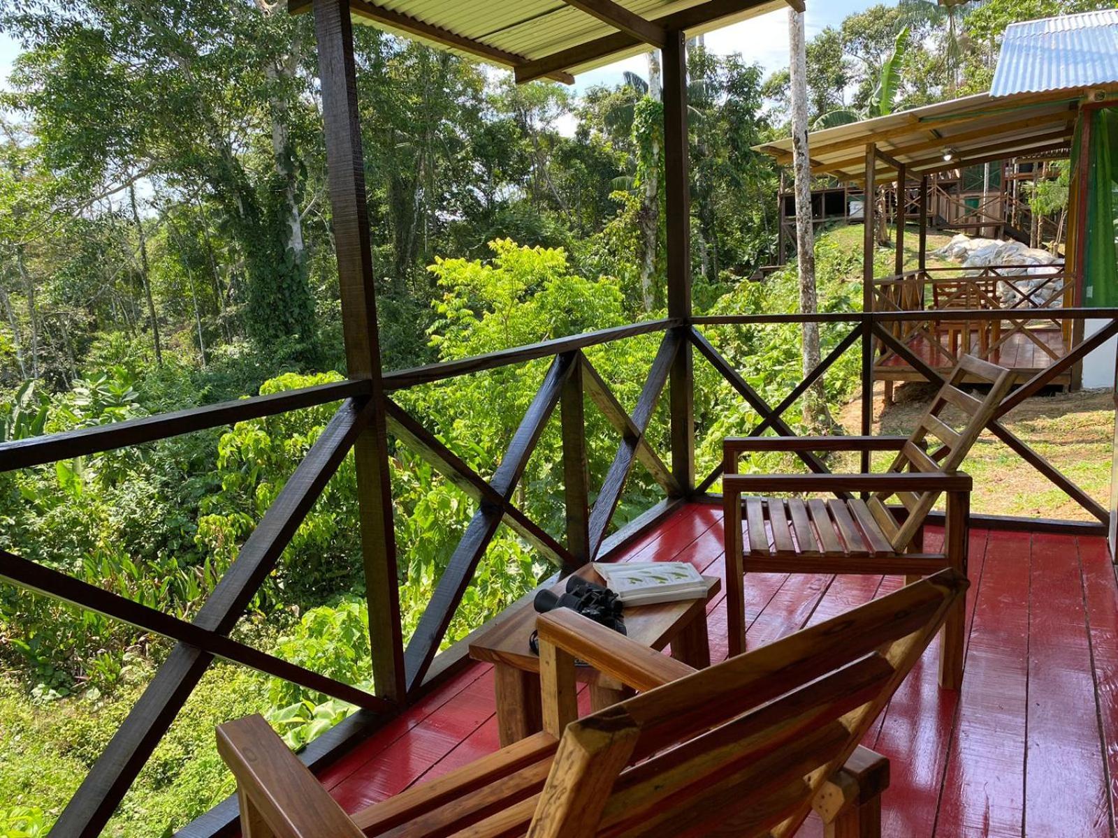 Amazon Acai Lodge Leticia Eksteriør bilde